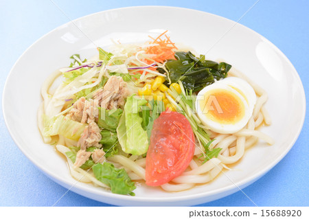 美味的沙拉烏冬面 15688920