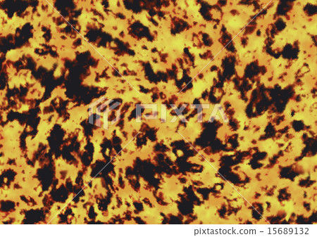 Tortoiseshell 2 15689132