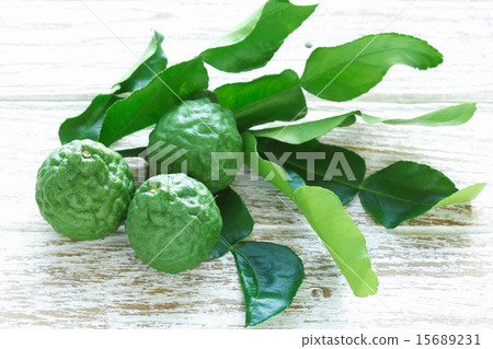 bergamot kaffir lime leaves herb still life 15689231
