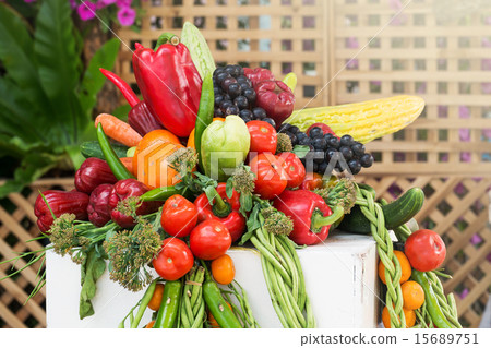 Fresh Organic Fruit and Vegetable From Garden 15689751