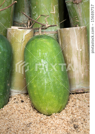 Green winter melon with bamboo background 15689757