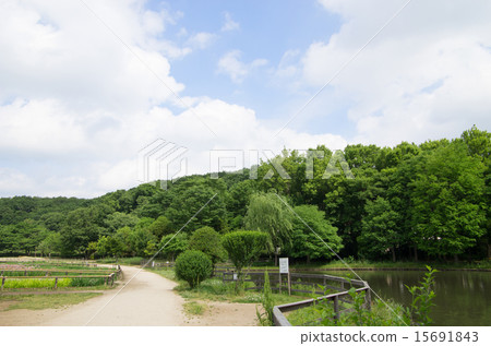 北山公園和Yatsukuniyama綠地（水平位置） 15691843