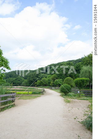 北山公園和Yatsukuniyama Green Land（垂直位置） 15691844