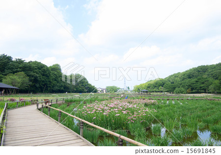 北山公園和Yatsukuniyama綠地（水平位置） 15691845