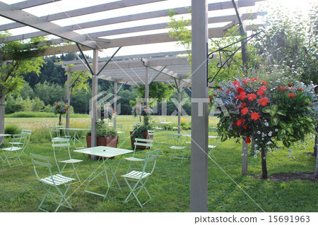 Garden with hanging basket Garden with hanging basket 15691963