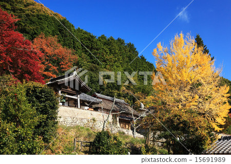 岡山縣八幡寺在秋天 岡山縣八幡寺在秋天 15691989