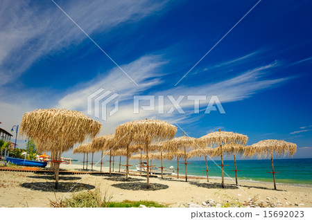 Reed umbrellas on the beach Reed umbrellas on the beach 15692023