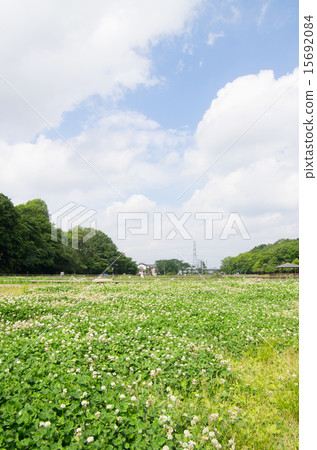 北山公園的白色帆船（垂直位置，半邊天） 15692084