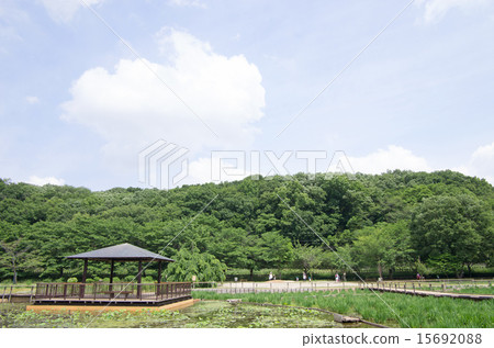 北山公園和Yatsukuniyama綠地（水平位置，左側） 15692088