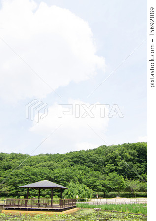 北山公園和Yatsukuniyama綠地（垂直位置，充滿天空） 15692089