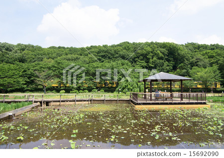 從北山公園看到的西武線（側面，右側） 15692090