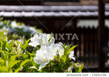 Seongnam Palace 15692196