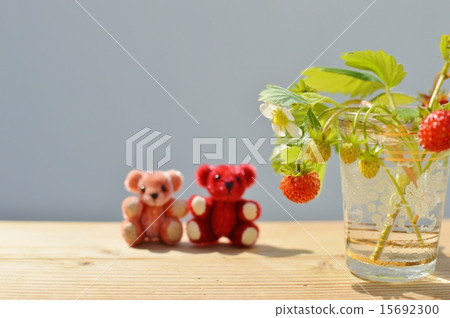 野草莓和玩具熊 15692300