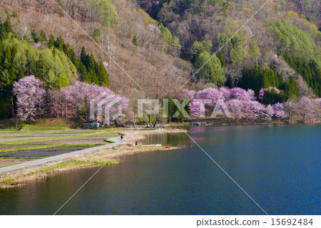 Spring landscape of Nishina Sanko 15692484