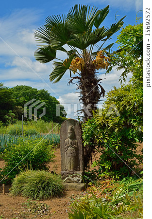 Mine Numeral Field: A scenery with Jizo treasure at Katoyanagi 15692572