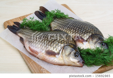 Two crucian Two crucian 15692865