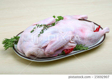 Raw duck Raw duck 15692907