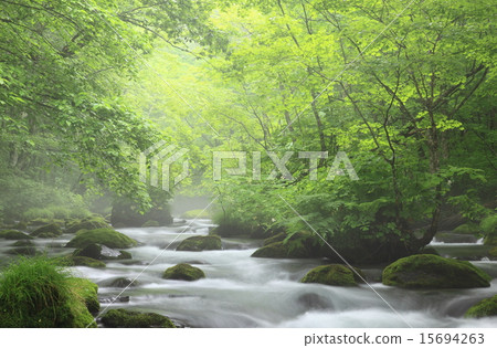 Oirase stream Oirase stream 15694263