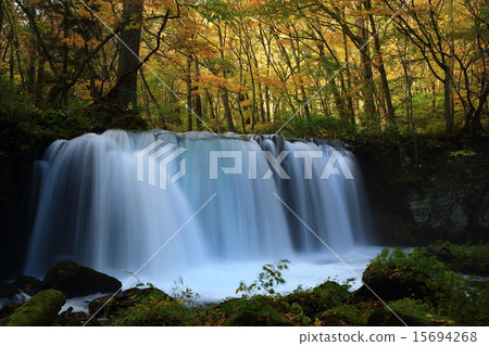 Autumn leaves of Okusease Stream Choshi Falls 15694268