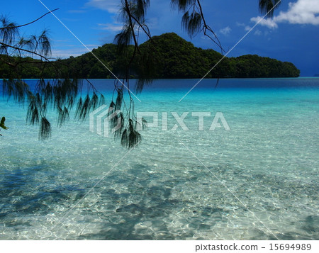 帕勞透明的高海 帕勞透明的高海 15694989