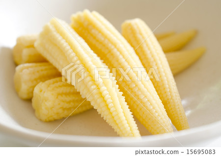young corn 15695083