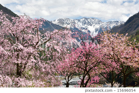 Akaishidake's spring 15696054