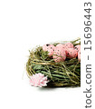 Easter Nest II 15696443