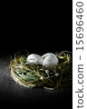 Pension Funding II 15696460