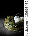 Pension Funding 15696462