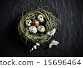 Quails Eggs Aerial 15696464