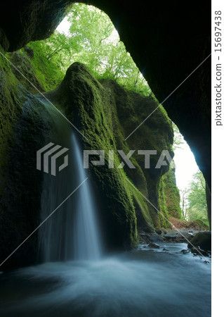 春天的滋賀瀑布（兵庫縣三方郡新溫泉町） 15697438