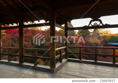 Autumn leaves of Tofukuji 15697657