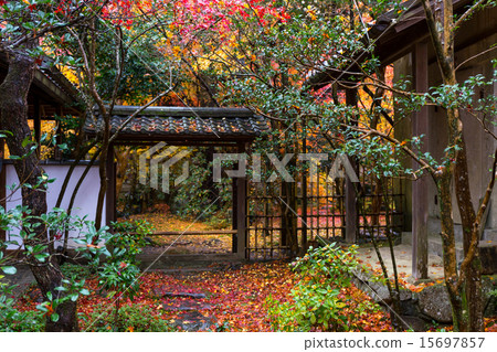 蓮花寺廟秋葉 蓮花寺廟秋葉 15697857