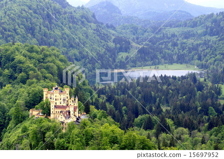 舊天鵝堡 15697952