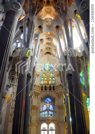 Sakurada Familia 15698009