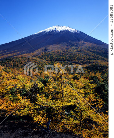 Mt. Fuji in autumn Mt. Fuji in autumn 15698093