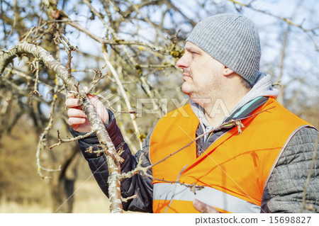 Man with branches in the garden Man with branches in the garden 15698827
