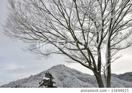 Black and white snowscape Black and white snowscape 15699015