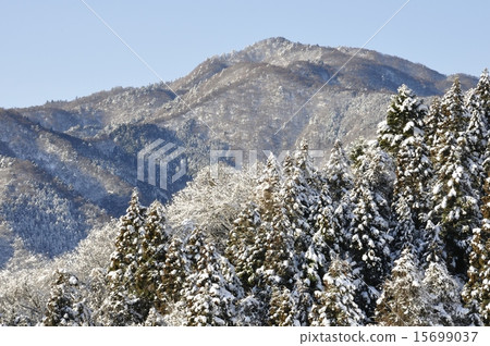 Honma no head which made snow make-up 15699037