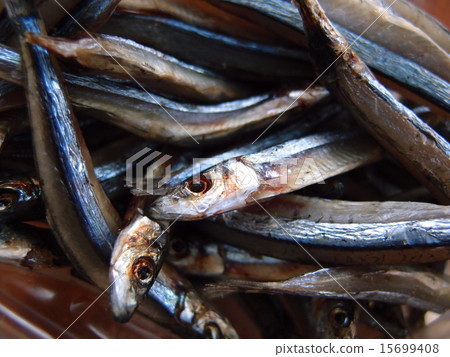 幹鯖魚 幹鯖魚 15699408