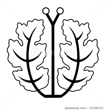 Mr. Shinjin Shin Uehara 15700741