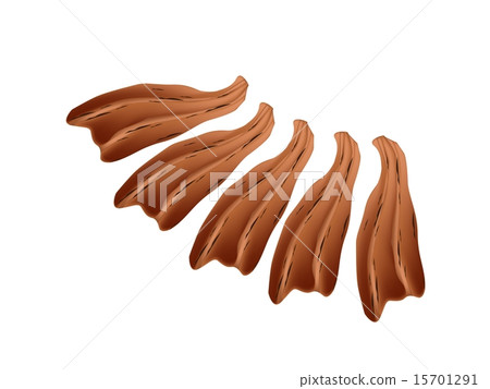 Smoked Eel or Roast Unagi on White 15701291