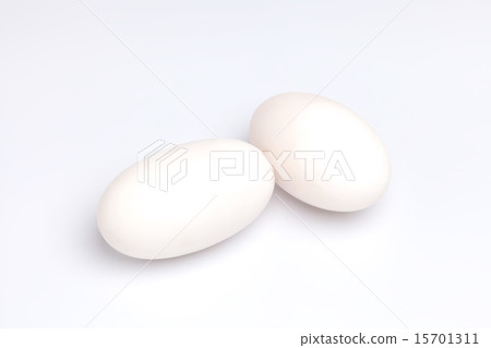 crocodile alligator eggs group white background 15701311