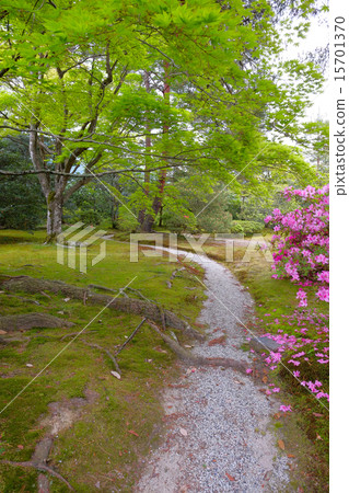 在Shogakuin Rikyu 在Shogakuin Rikyu 15701370