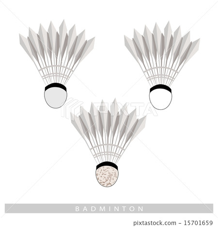 Set of Shuttlecock on A White Background 15701659