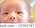 新生兒 15701747