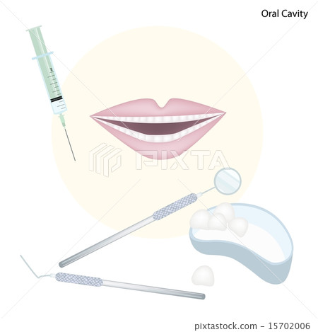 Set of Dentist Tools for Oral Cavity 15702006
