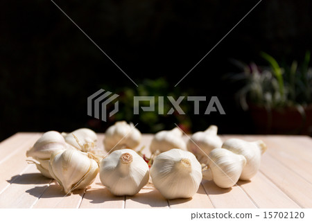 Early summer harvest new garlic Early summer harvest new garlic 15702120