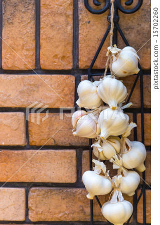 Early summer harvest new garlic Early summer harvest new garlic 15702260