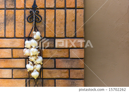 Early summer harvest new garlic 15702262